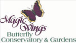 Magic Wings